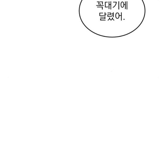 1635117999594c95jdfc3s9.jpeg