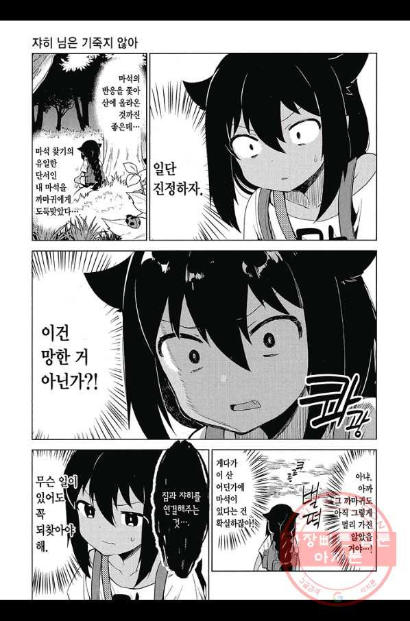 1635573368184w1otumy63j.jpeg