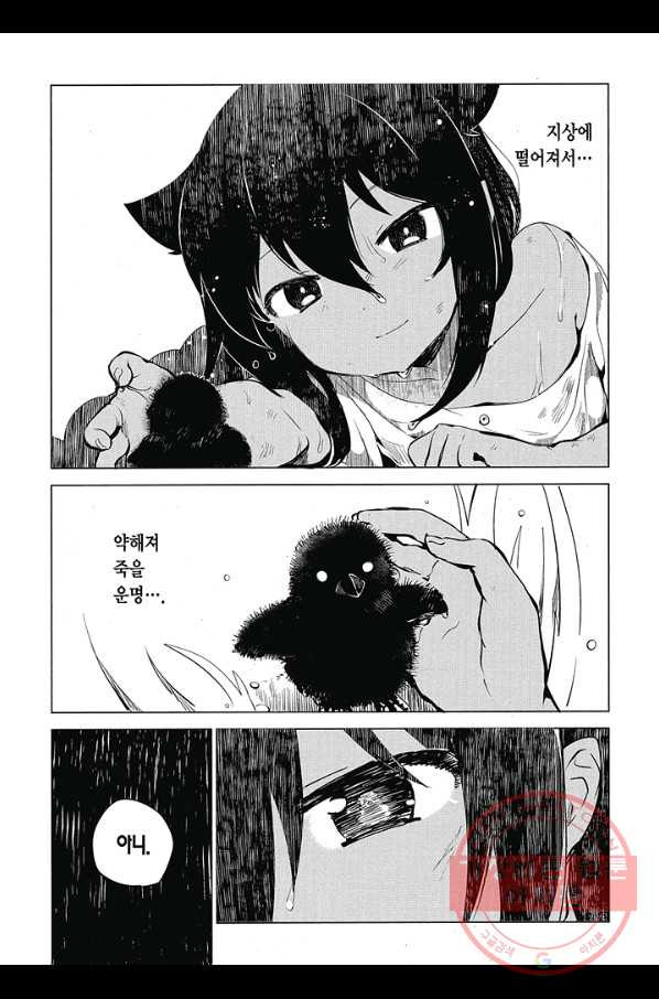 1635573368707z88g1wxvsh.jpeg