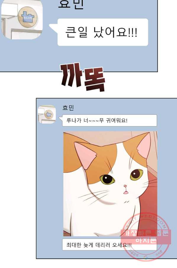 1636678045921jxfa6ciefer.jpeg