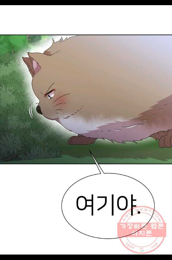 1636845249837a7p7owd0ssm.jpeg