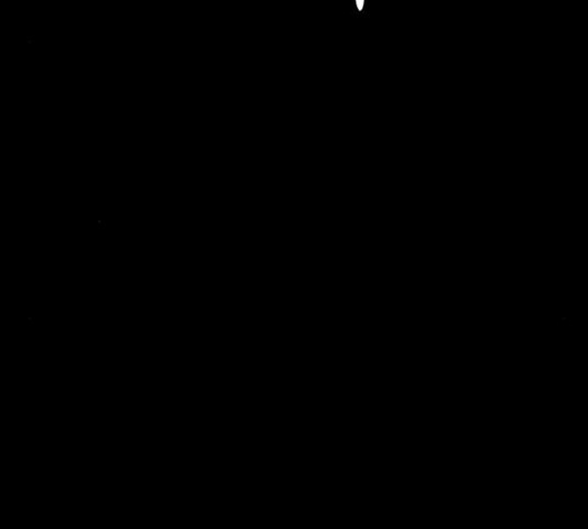16358096508024d974jldm8d.jpeg