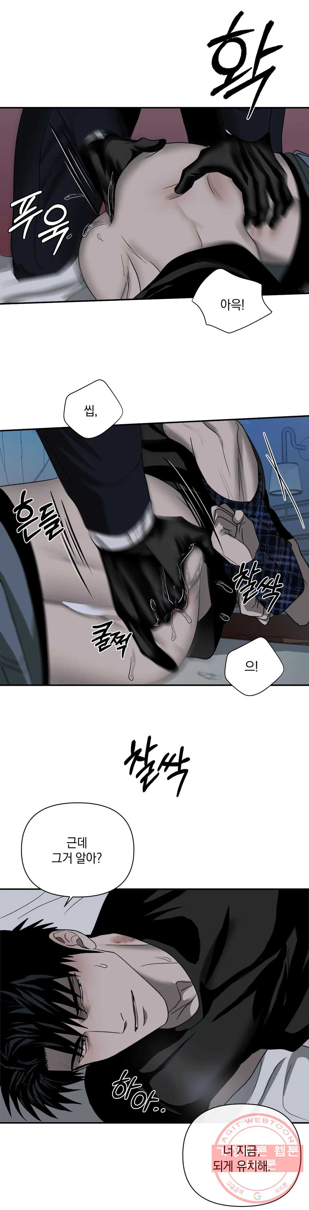 1637464519573138hekml8ww.jpeg