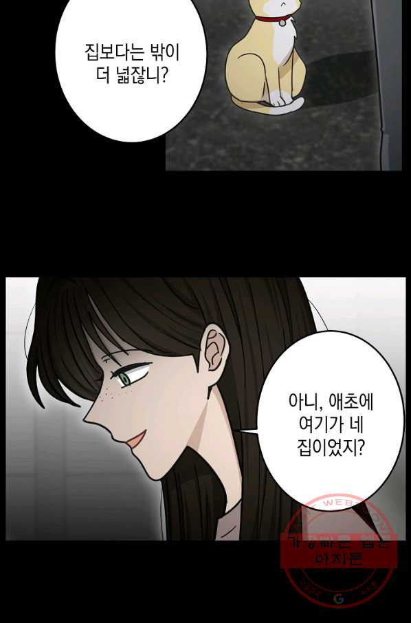 16378124452466cdlpffiqeb.jpeg