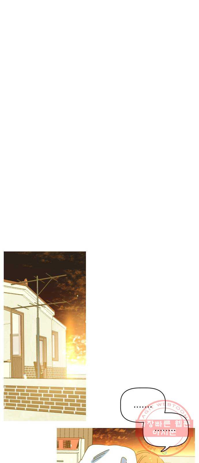1637812661636ytm8p153yke.jpeg