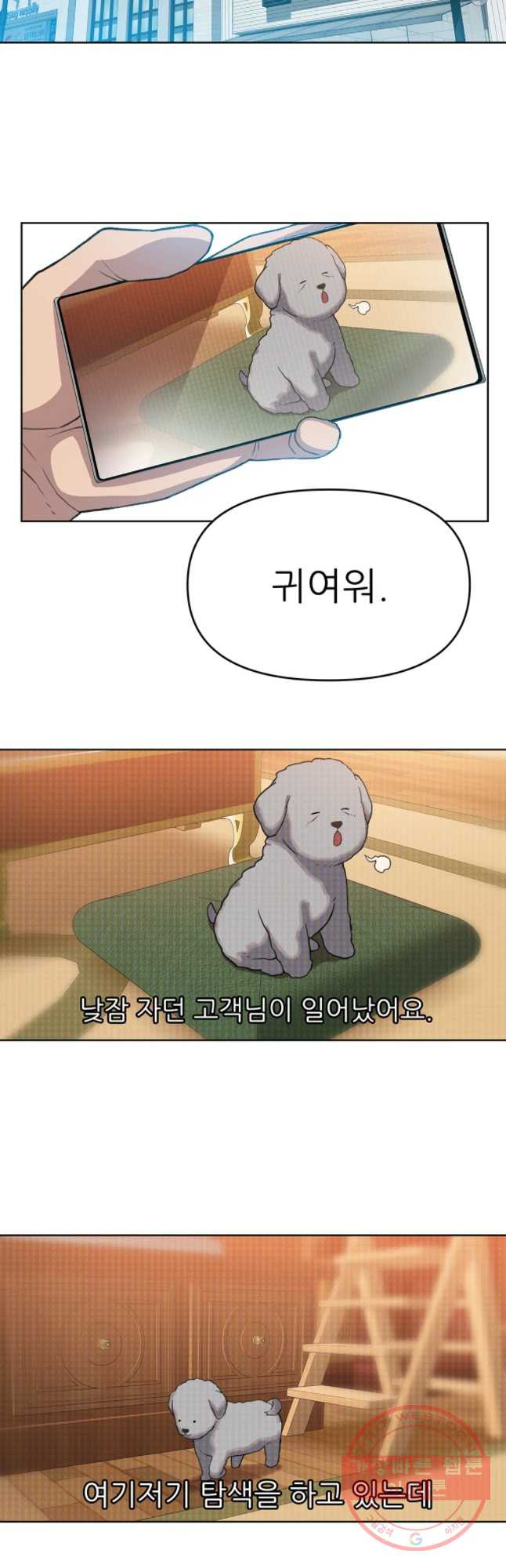 1638162771945aasuq98awmq.jpeg