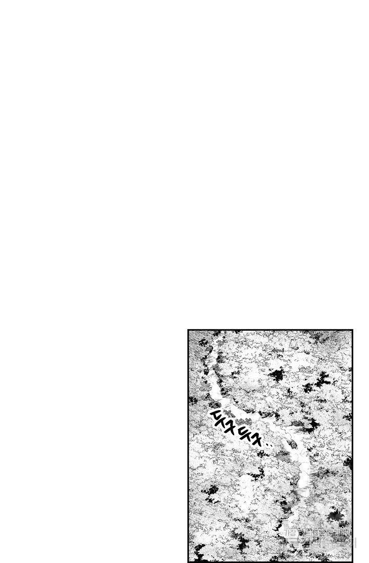 1636055434682ymmamjgro3.jpeg