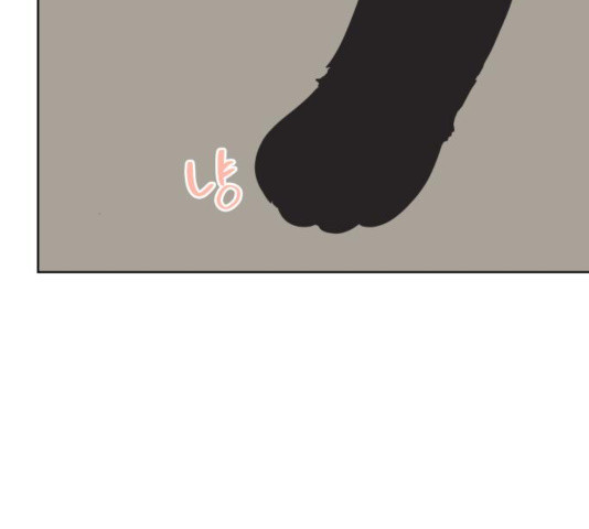 1636058148516zkwpf6oylkf.jpeg
