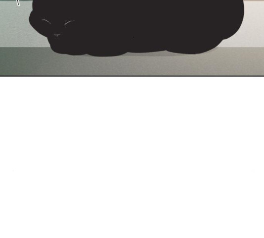 1636058148837gjenqdwwicm.jpeg