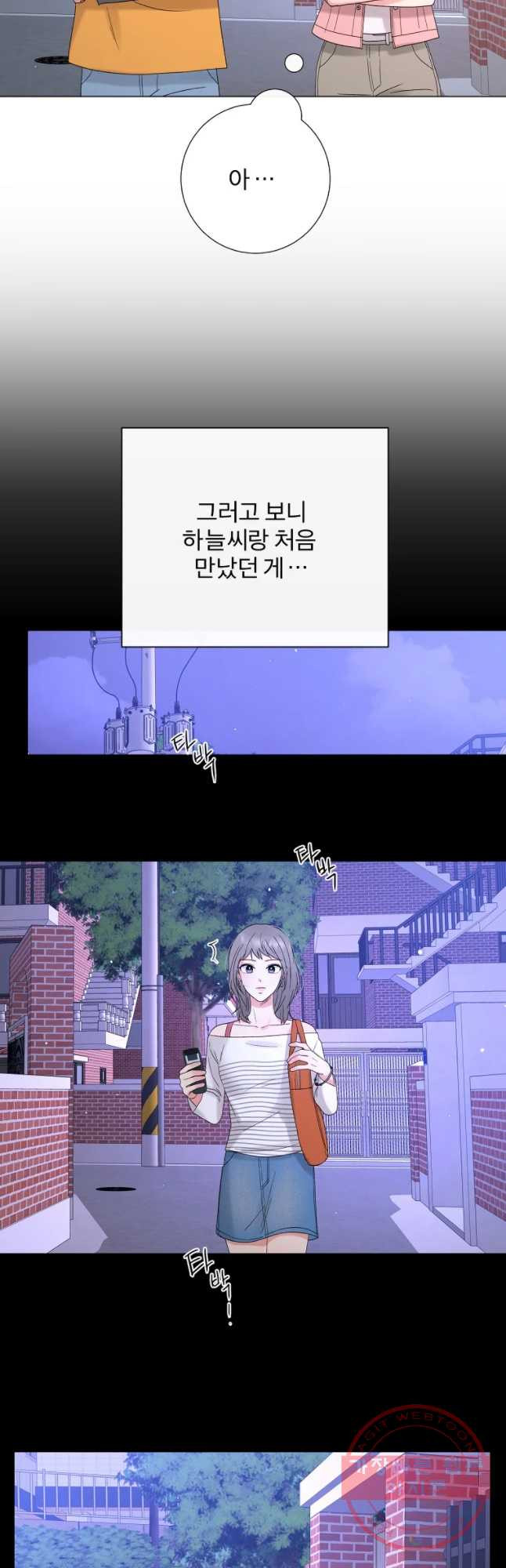 16364141628859pet6eopn4g.jpeg