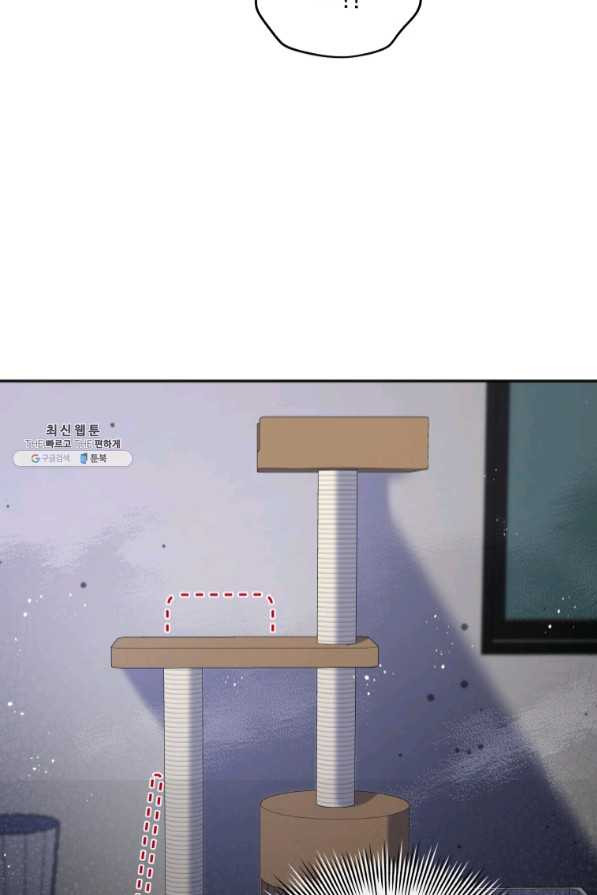 163978398264331j8xijevdn.jpeg