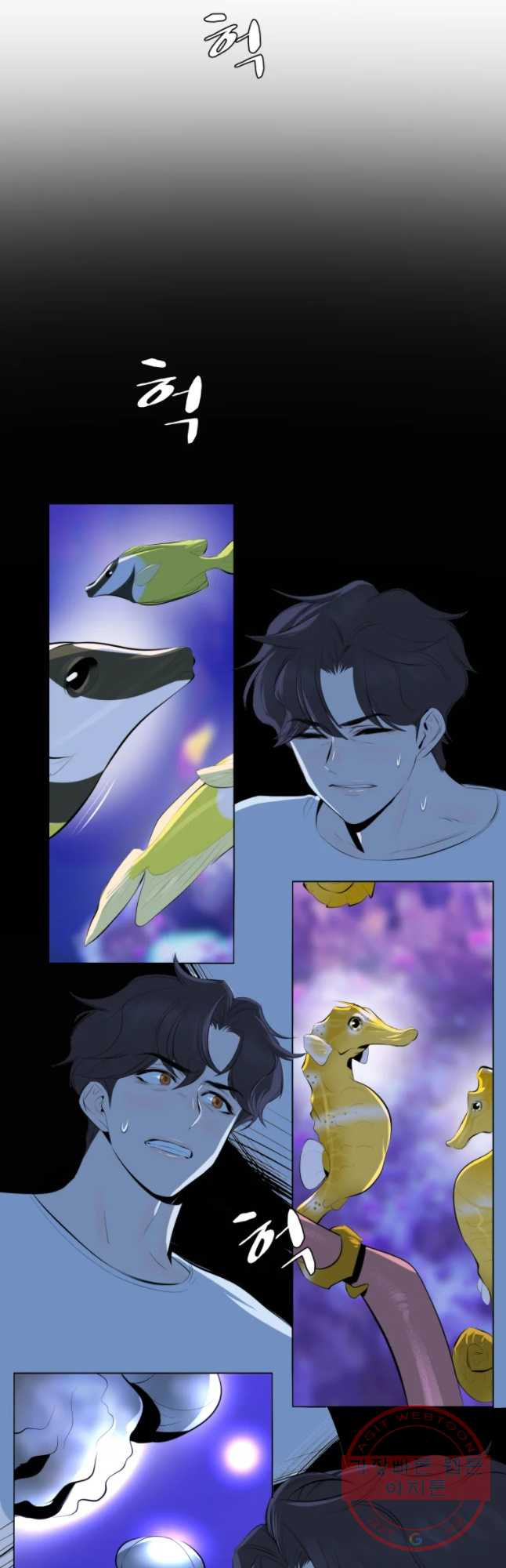 1638459175629mxw01xmacb.jpeg