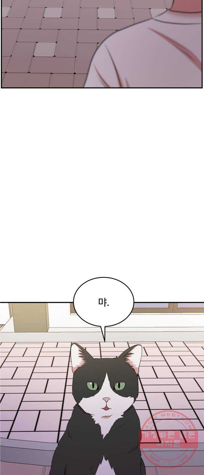 1640404373601jiaq77bgdi.jpeg