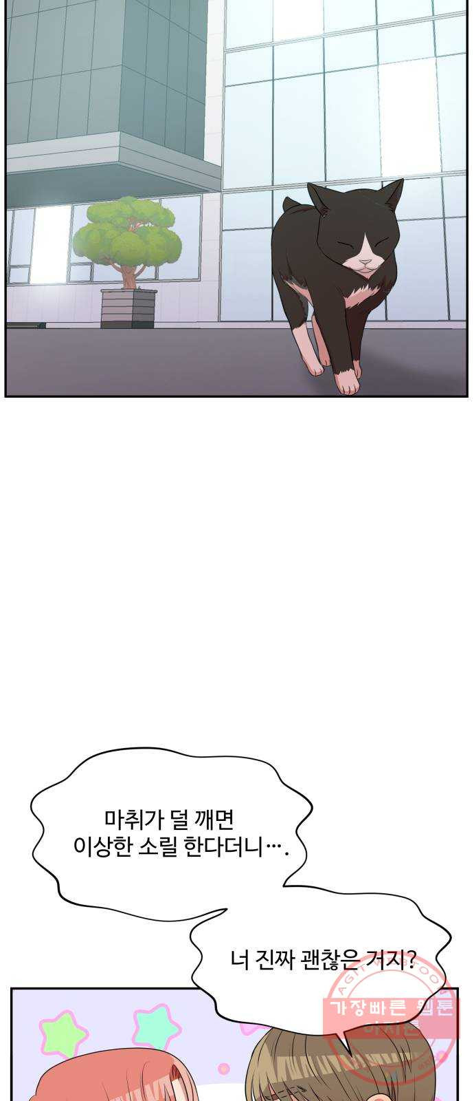 1640404396476c5wulsxe9c8.jpeg