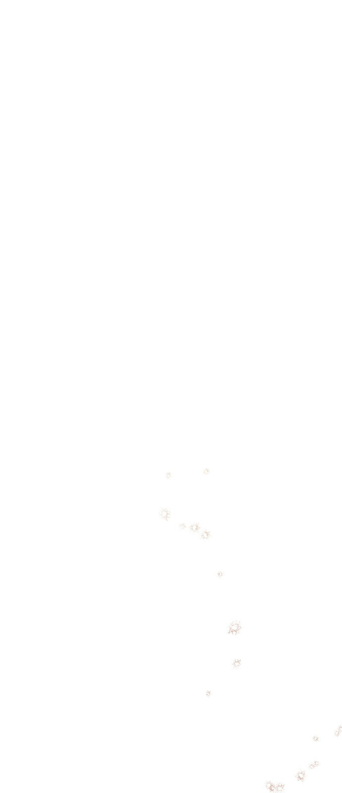 16386807658859fxkv1xee2h.jpeg