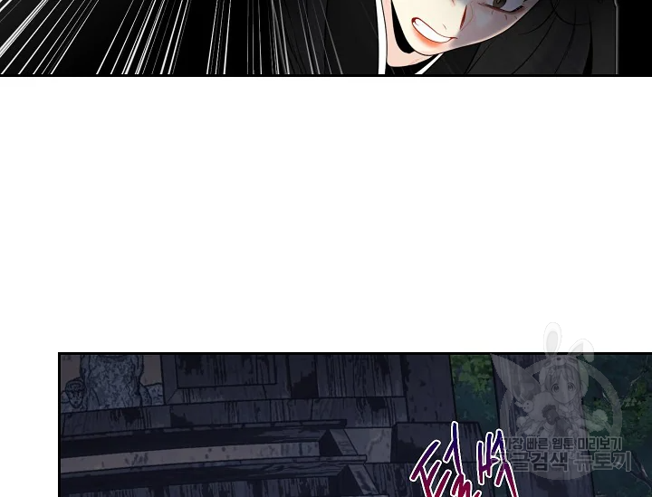1638804410145stellybb6z.jpeg