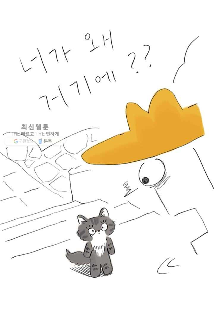 1626405998226.jpeg