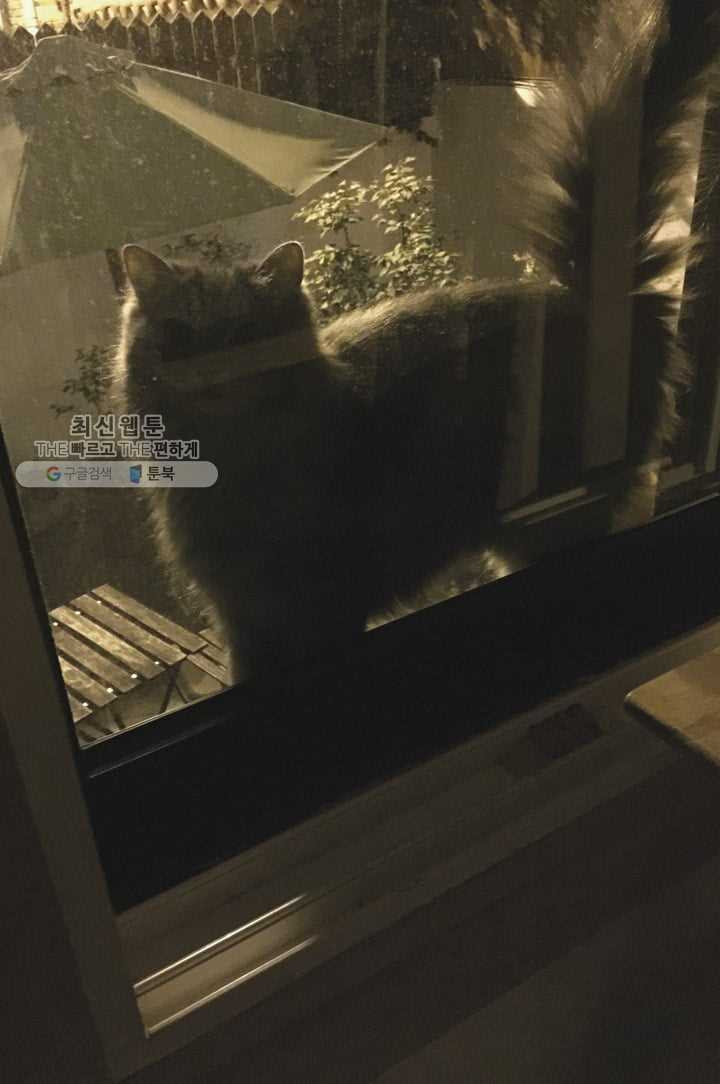 1626405999744.jpeg