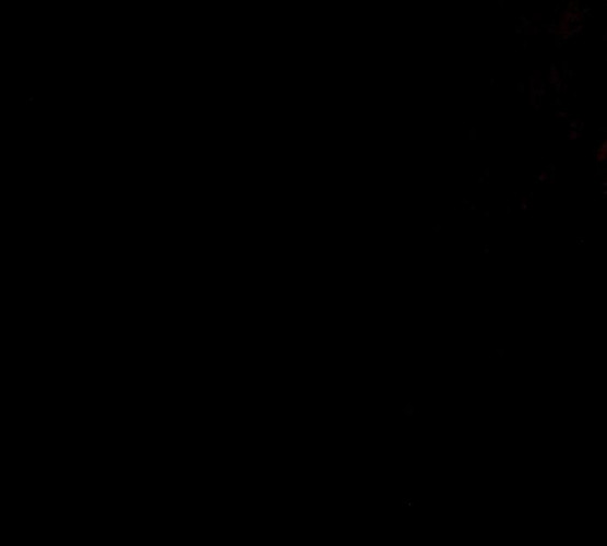 1627108446365.jpeg