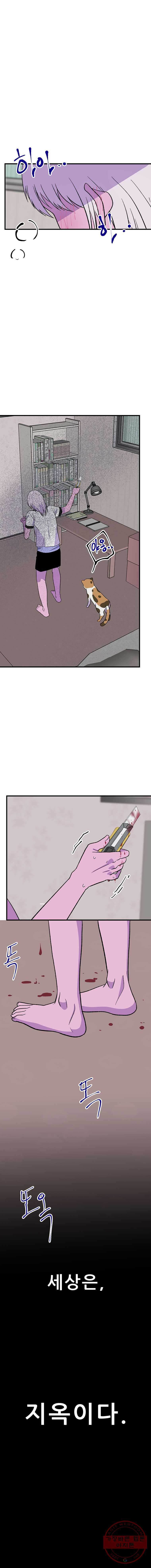 1627103137407.jpeg