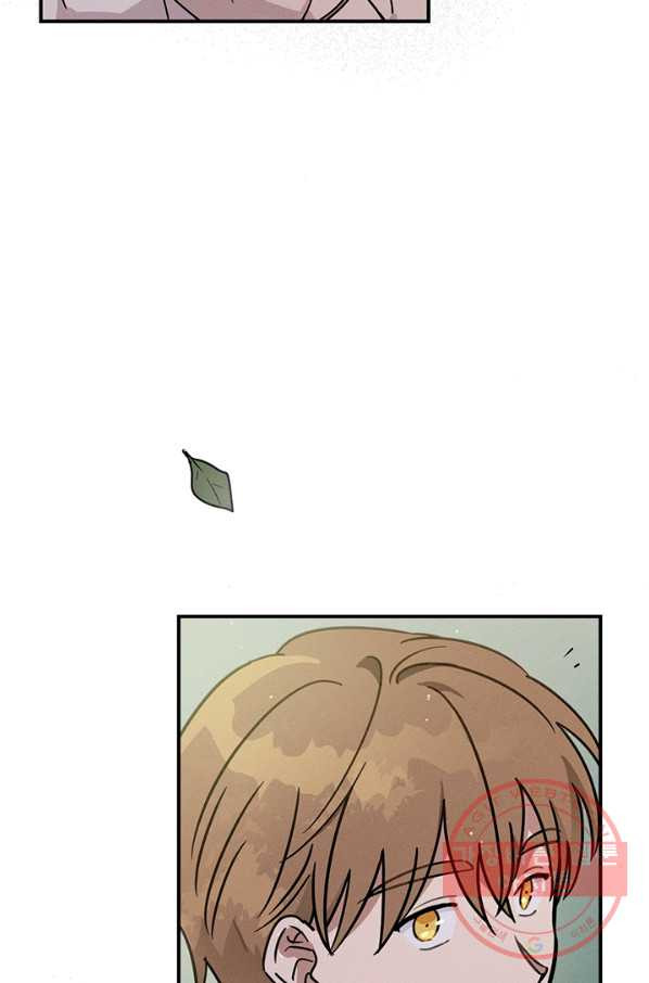 1627709461539.jpeg