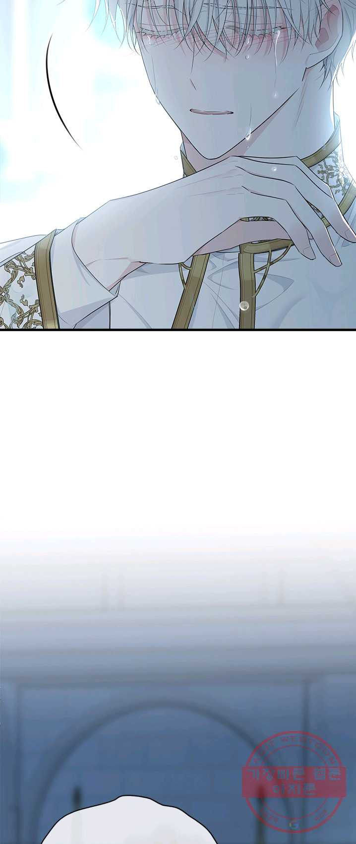 1625442332841.jpeg