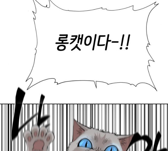1625706146728.jpeg