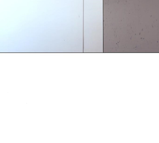 1628986131910.jpeg