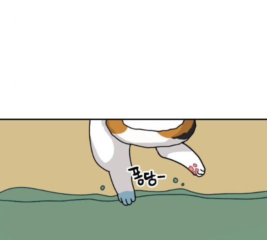 1629769703946.jpeg