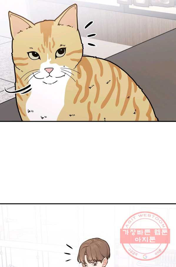 1632188010223z2vitzjt3ee.jpeg