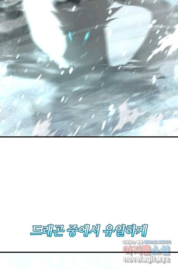 166485651610046l0z6481po.jpeg