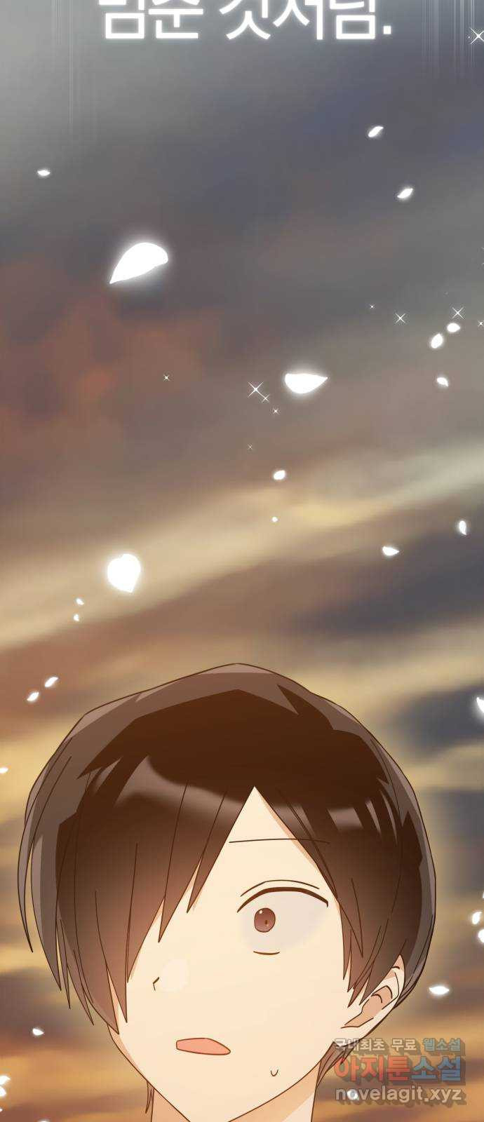 1668573504716iw5j63f54e.jpeg