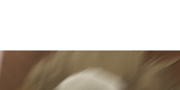 16711584148686hzlxf0s3yw.jpeg