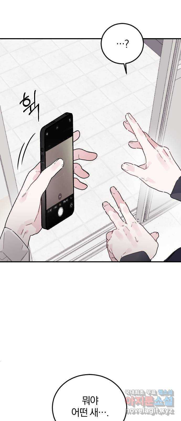 16719066851253izny9s4shf.jpeg
