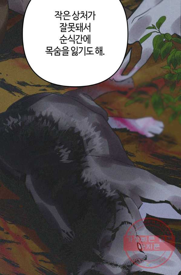 16460066130594zi7r36gp4.jpeg