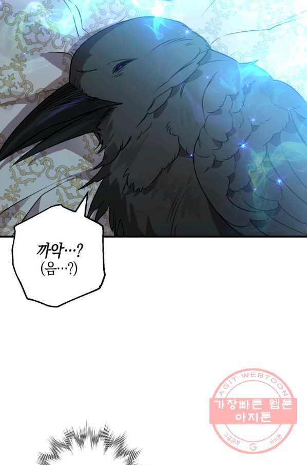 16460057643112tonug12om7.jpeg