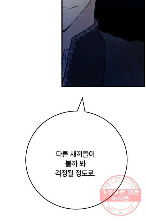 16481808768164ekiwim52up.jpeg