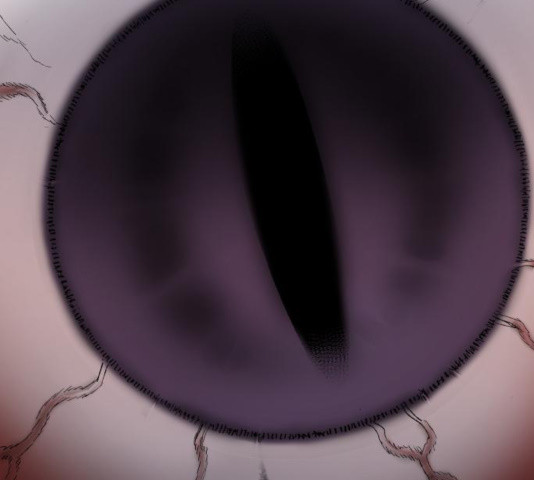 164844002426456v4s80uh6.jpeg
