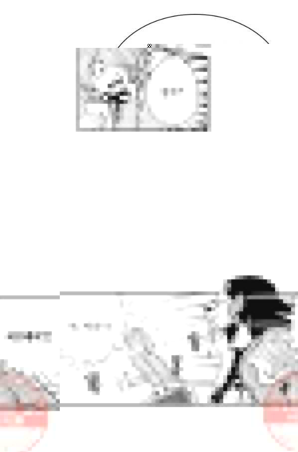 16462691019559m0a5v4sys.jpeg