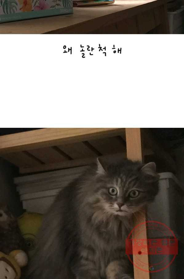 1646355165203amoa4298k8c.jpeg