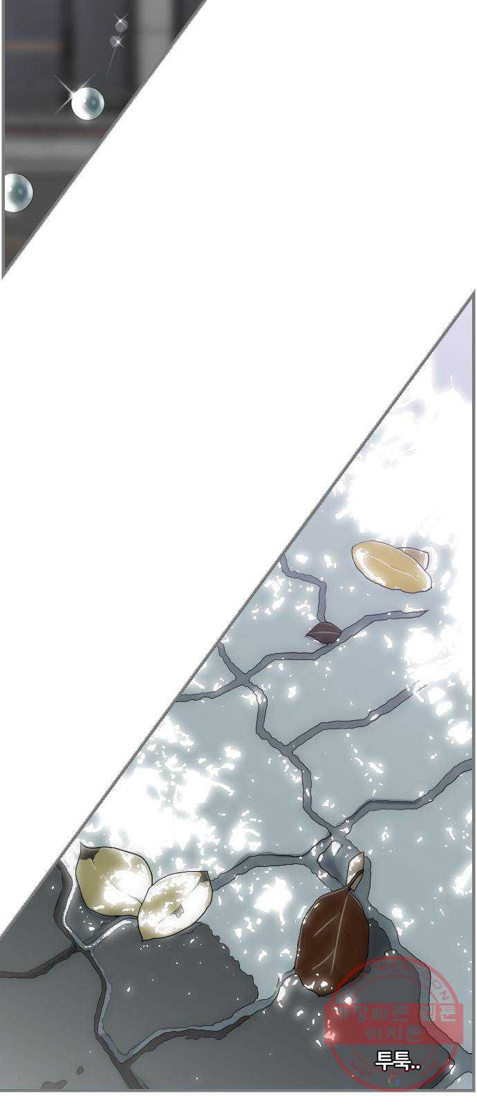 1646624507975cby1j33hgam.jpeg