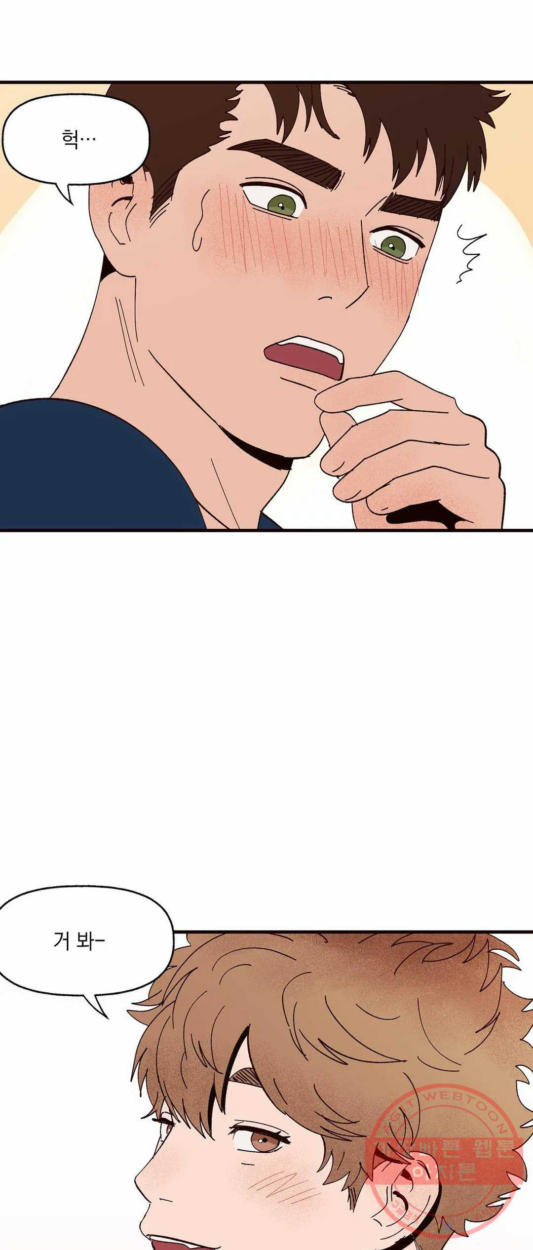 1646702345430ua099ybr13.jpeg