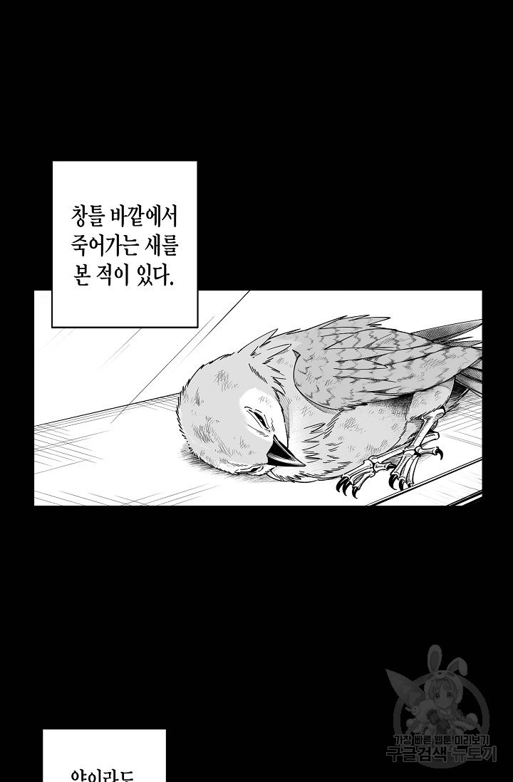 1650594067612a9co91cm7nl.jpeg