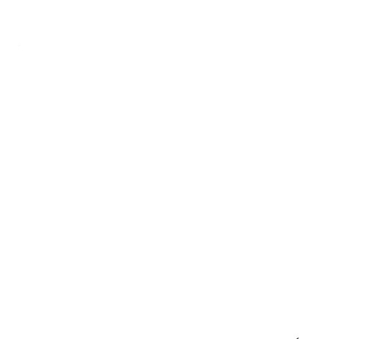 1650858510080g87iyjd4rcn.jpeg