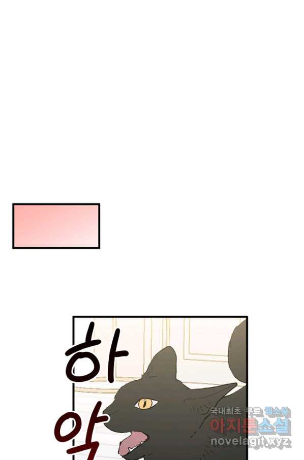 1653701419219vfnfqwo4t4.jpeg