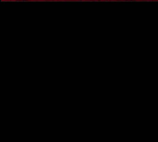 1654057903077ibcw7w256el.jpeg