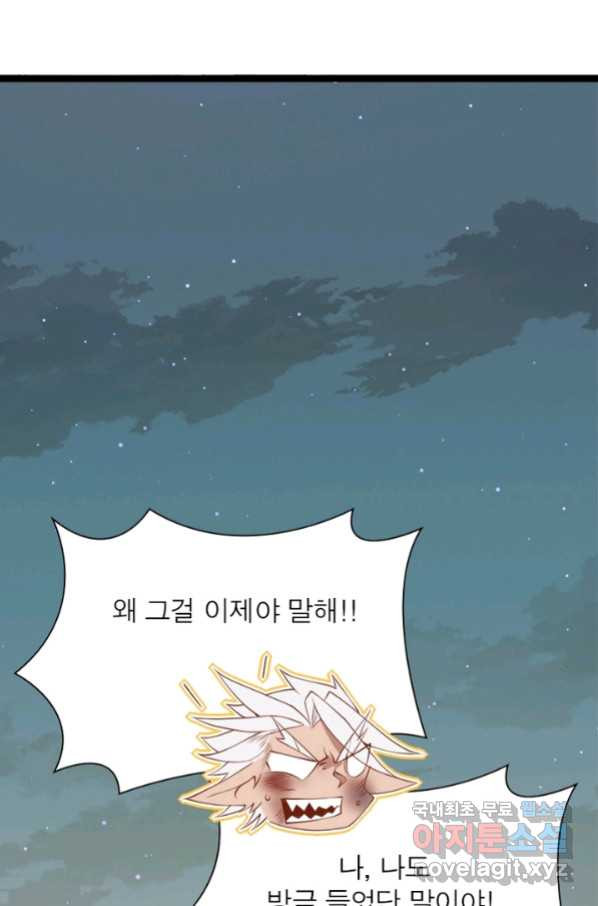 16550814186659v9huxewu9i.jpeg