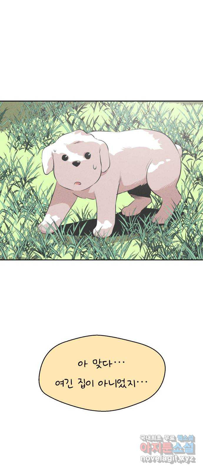 165897619549613zojzhy0ll.jpeg