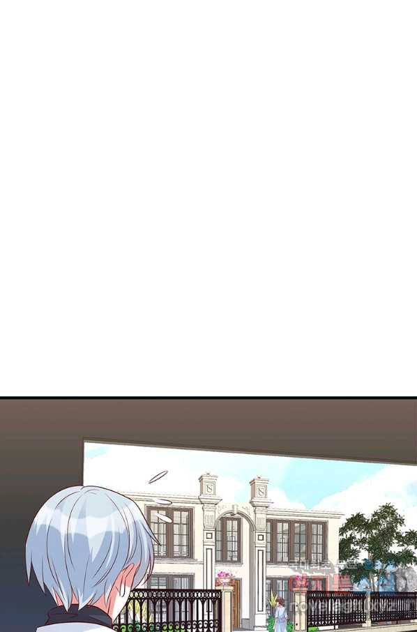 1656984857604516zq6ccoli.jpeg
