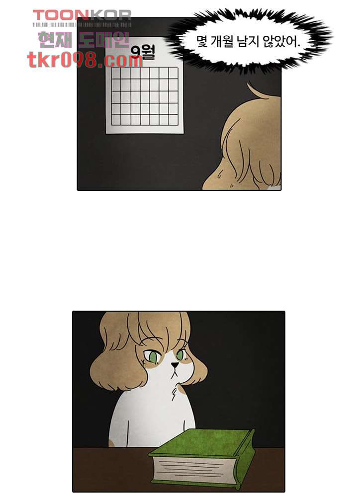 166006438989550veh39i1fn.jpeg